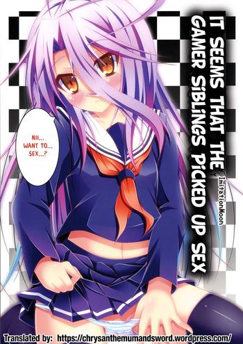 gamer kyoudai ga sex wo oboeta you desu it seems that the gamer siblings picked up sex cover