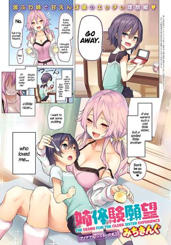 ane taiken ganbou the desire for the older sister experience cover