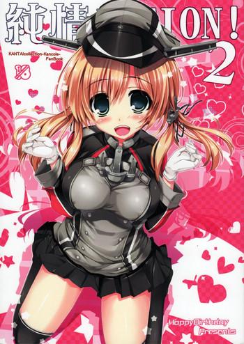 junjou action 2 cover