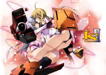ls lovers striker ii cover