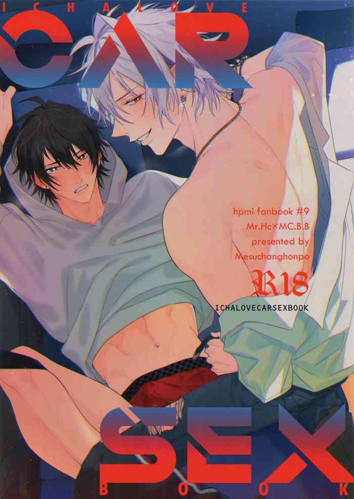 ichalove car sex book cover