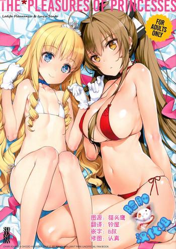 the pleasures of princesses cover
