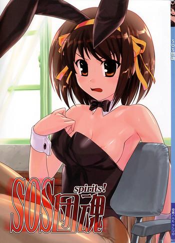 sosdan spirits cover