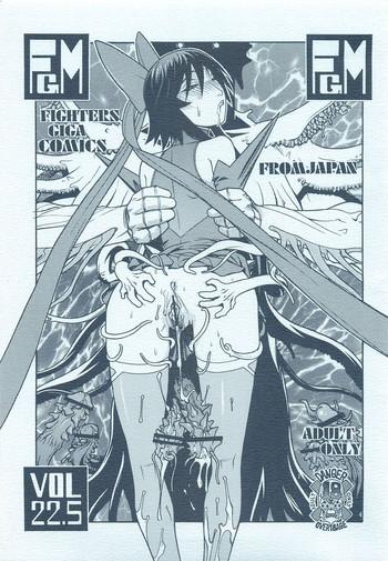 fighters gigamix vol 22 5 cover