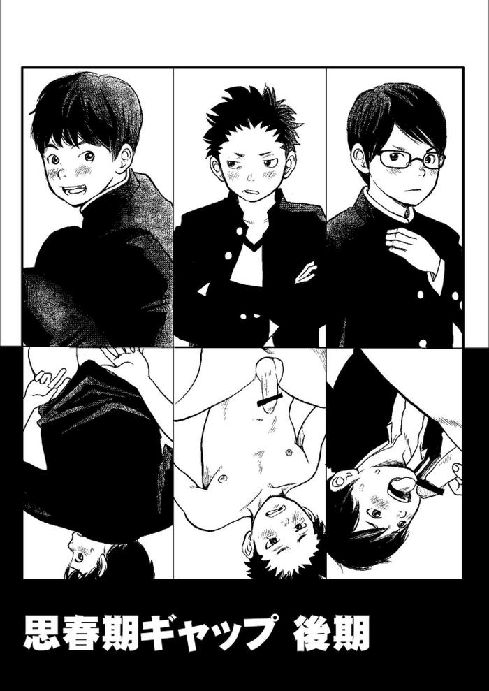 288455 cover