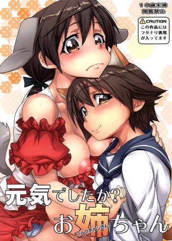 genki deshita ka obarkhorn chan cover