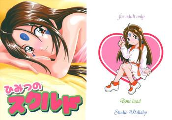 himitsu no skuld cover