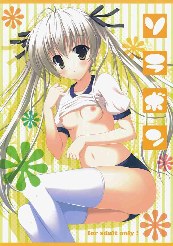 sorabon cover